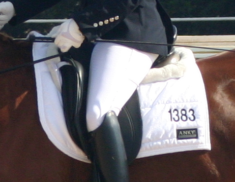 Saddle Pad with Numbers