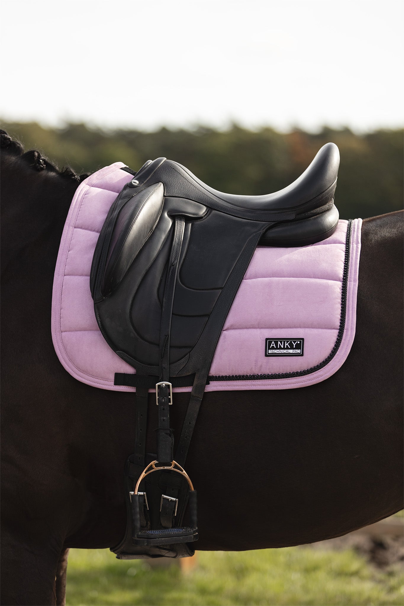 NEW Suede Saddle Pad- Lavender