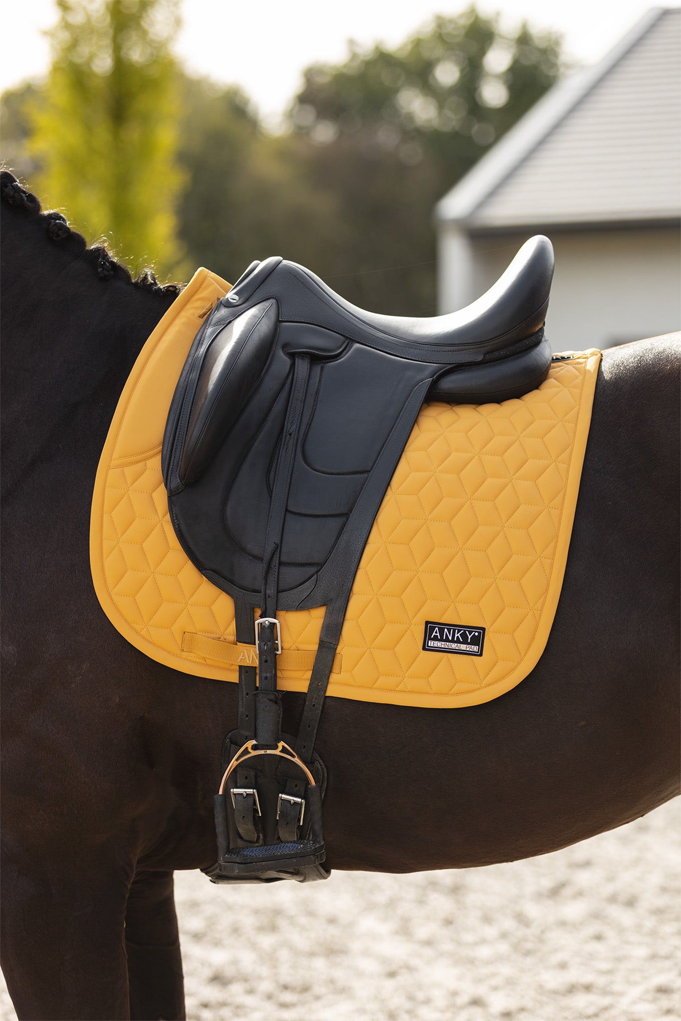 NEW Nylon Saddle Pad- Spruce Yellow