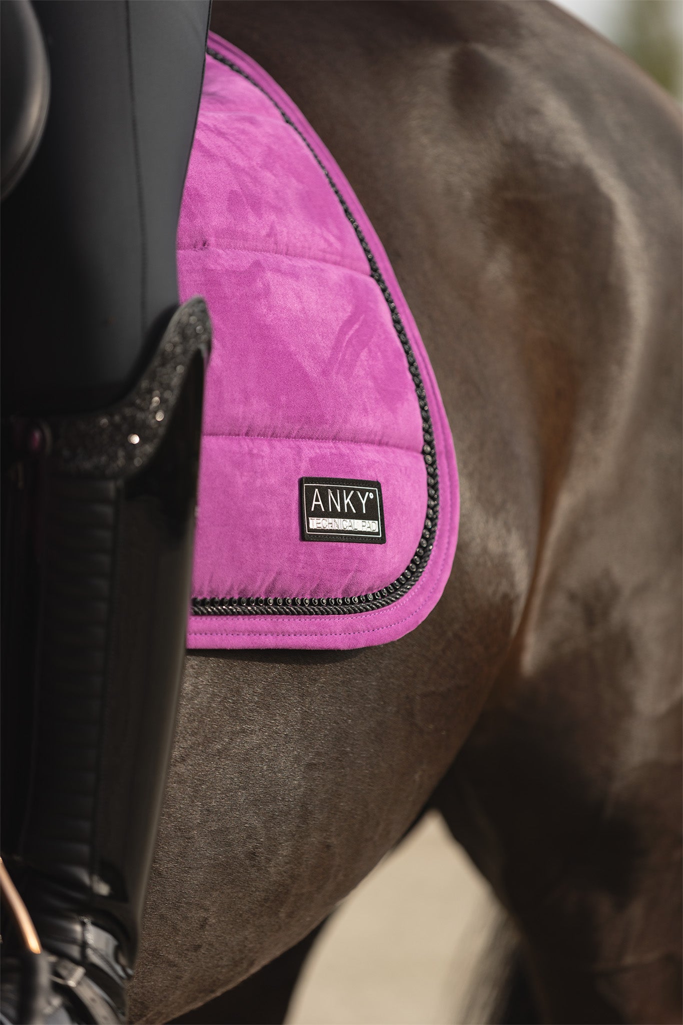 NEW Suede Saddle Pad- Purple