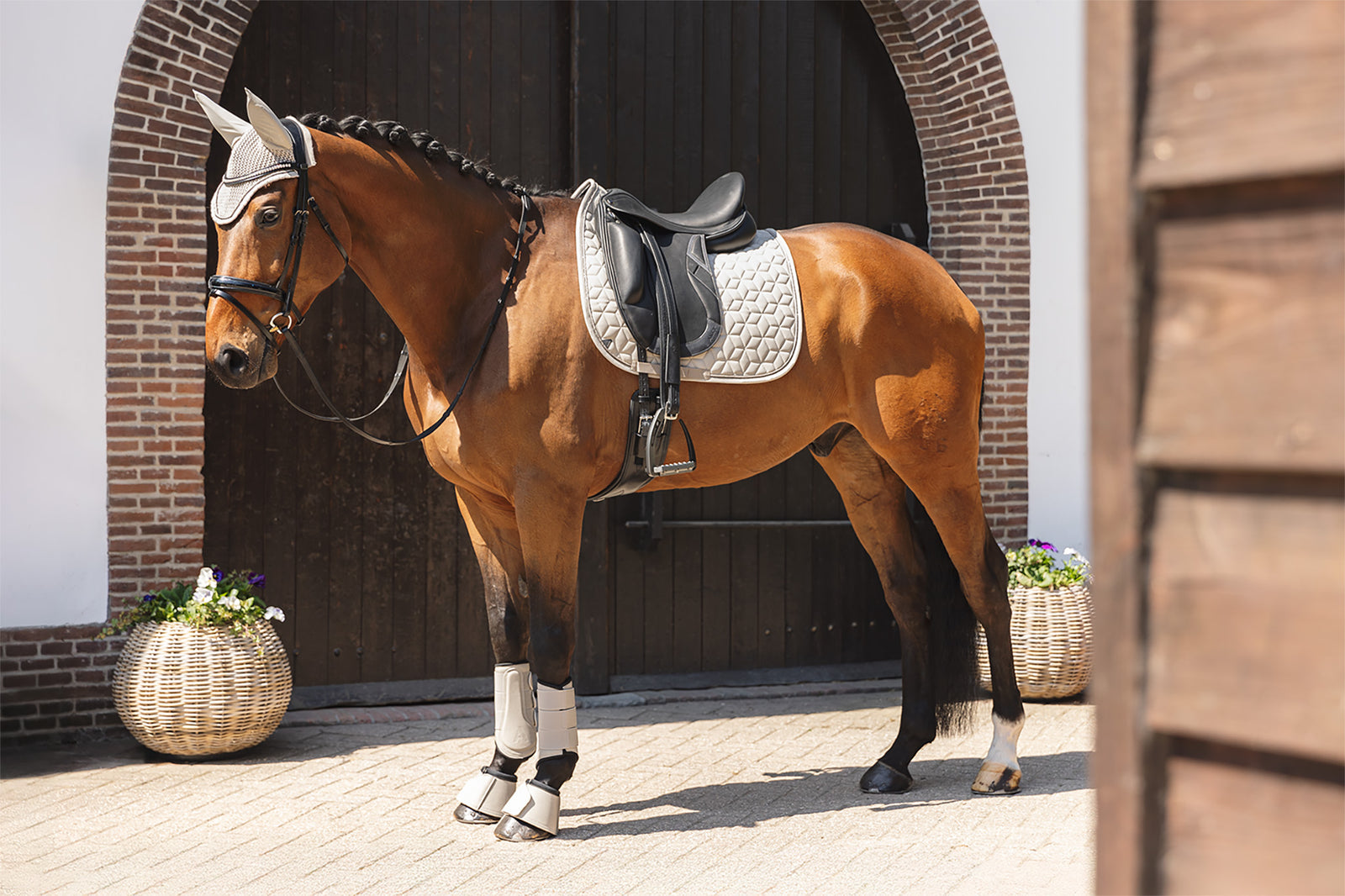 NEW Soundproof Ear Bonnet- Island Fossil