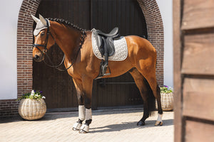 NEW Soundproof Ear Bonnet- Island Fossil