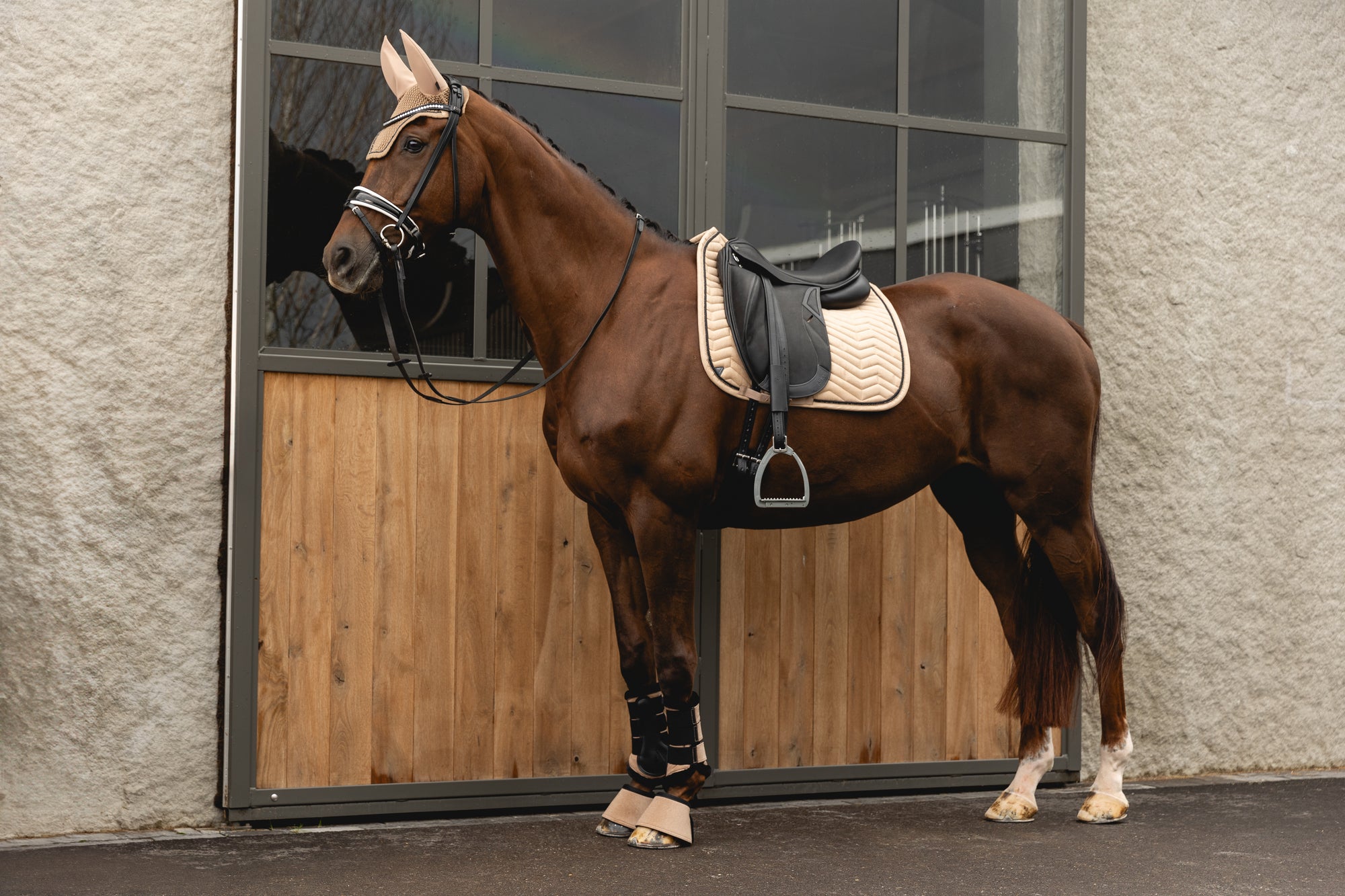 NEW Suede Saddle Pad- Amphora