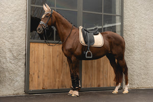 NEW Suede Saddle Pad- Amphora
