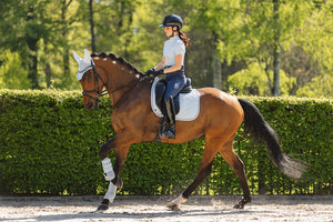 NEW Soundproof Ear Bonnet- Nantucket Breeze