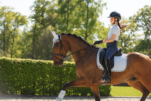 NEW Soundproof Ear Bonnet- Nantucket Breeze