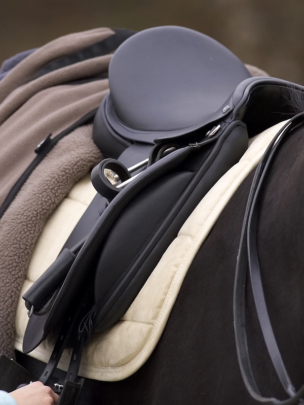 Stirrup Leathers- Black